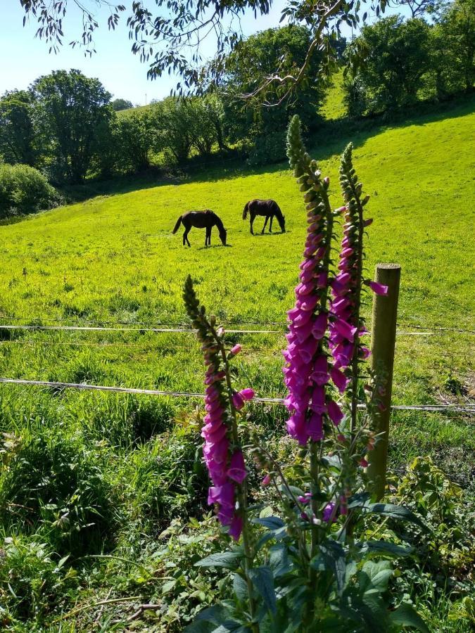 Kerryanna Country House Bed And Breakfast Mevagissey Buitenkant foto