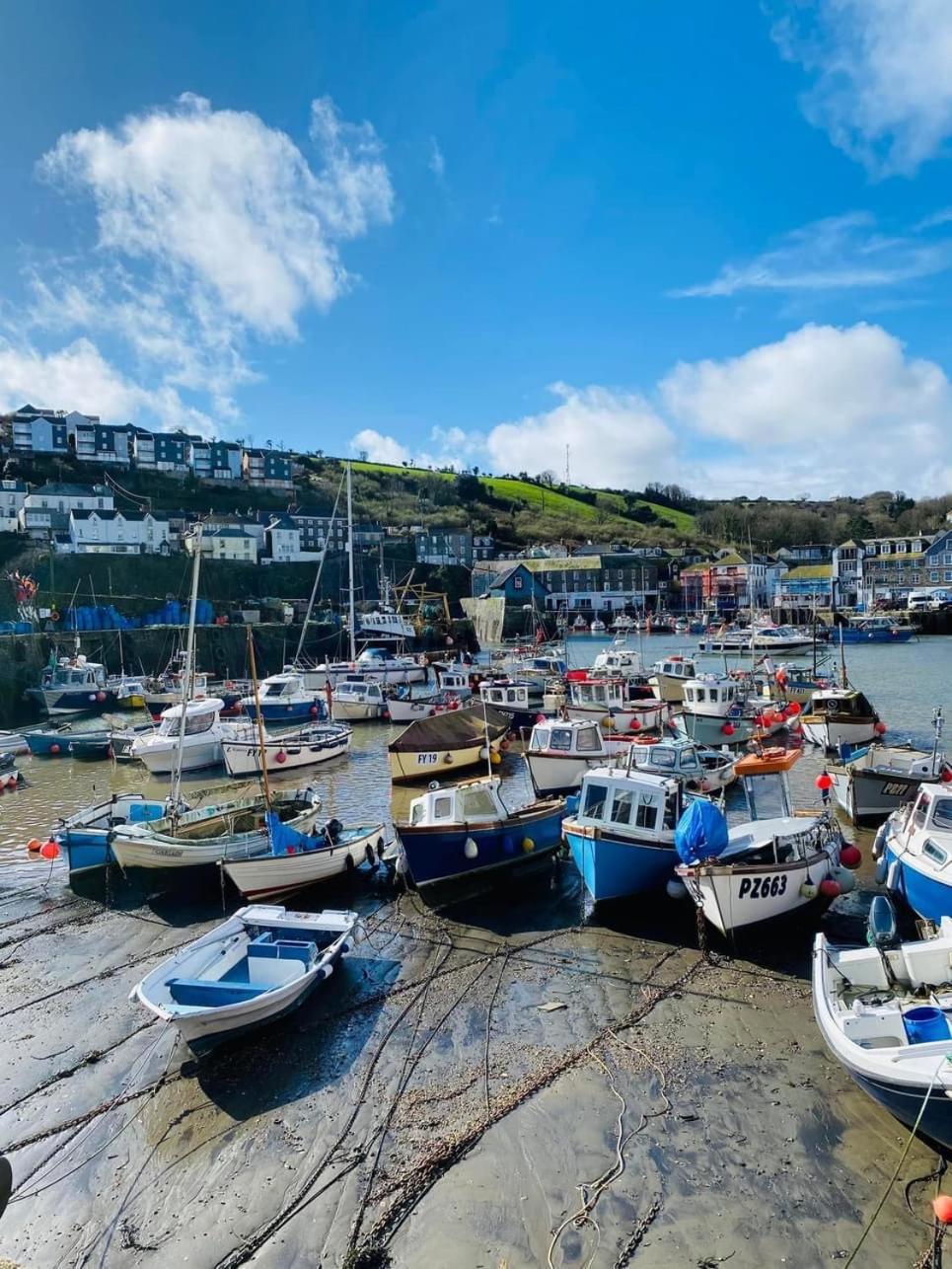 Kerryanna Country House Bed And Breakfast Mevagissey Buitenkant foto